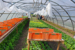 Ausflug Maxis: Lernbauernhof Schulte-Tigges: Bild 4