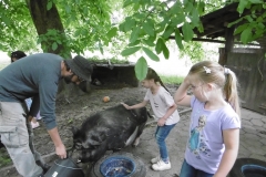 Begrüßung der Tiere